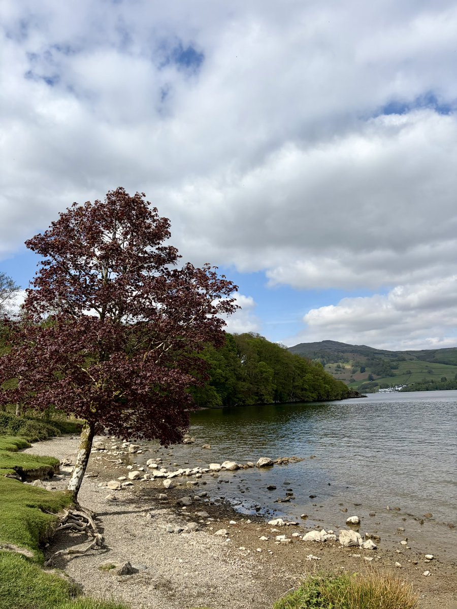 warby_d's tweet image. Beautiful day in the Lake District!

#UK #LakeDistrict #England