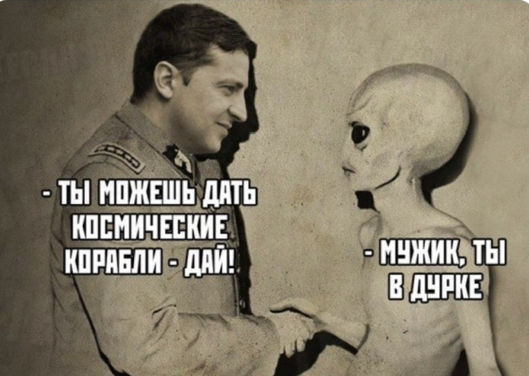 VILNA tweet media