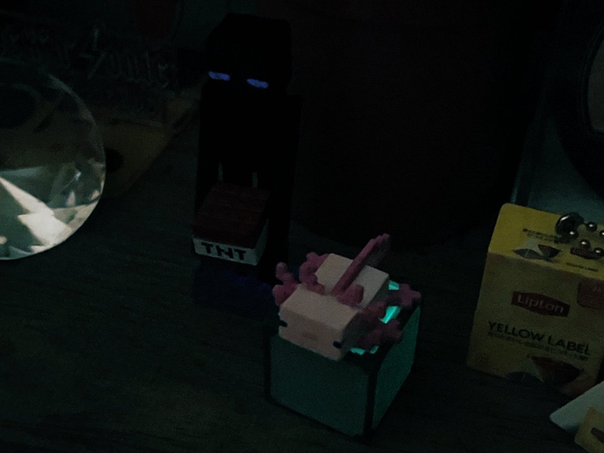今日轉蛋(＾ｰ^)ノ 獲得一只可愛蠑螈、危險使者…再遞上一包茶——

…夜光模式真難拍(日光浴曬的不好吸收捏?