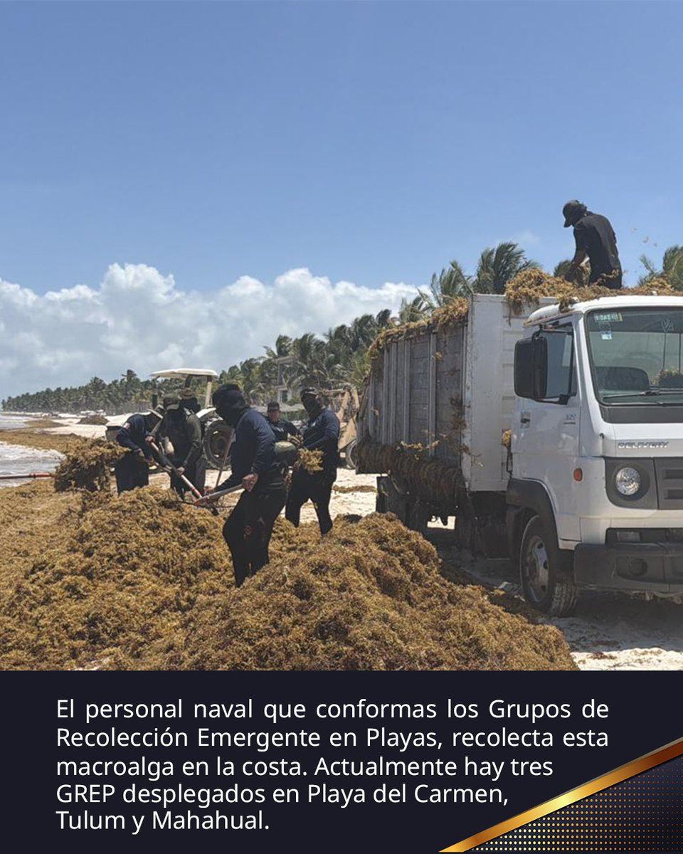 SEMAR México tweet media