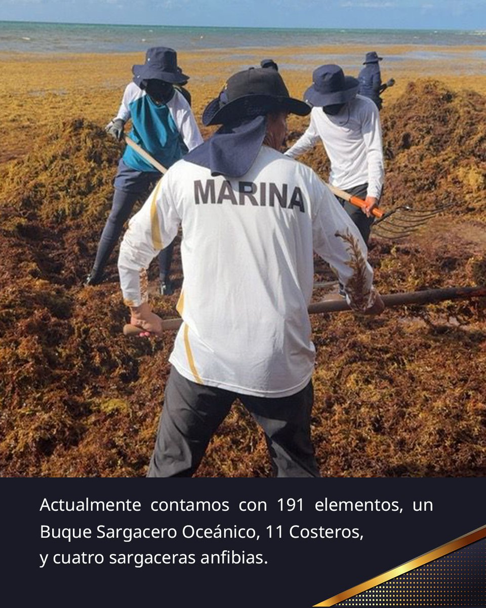 SEMAR México tweet media