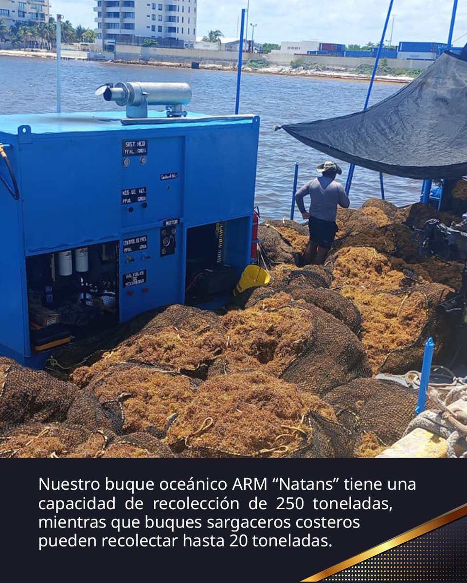 SEMAR México tweet media