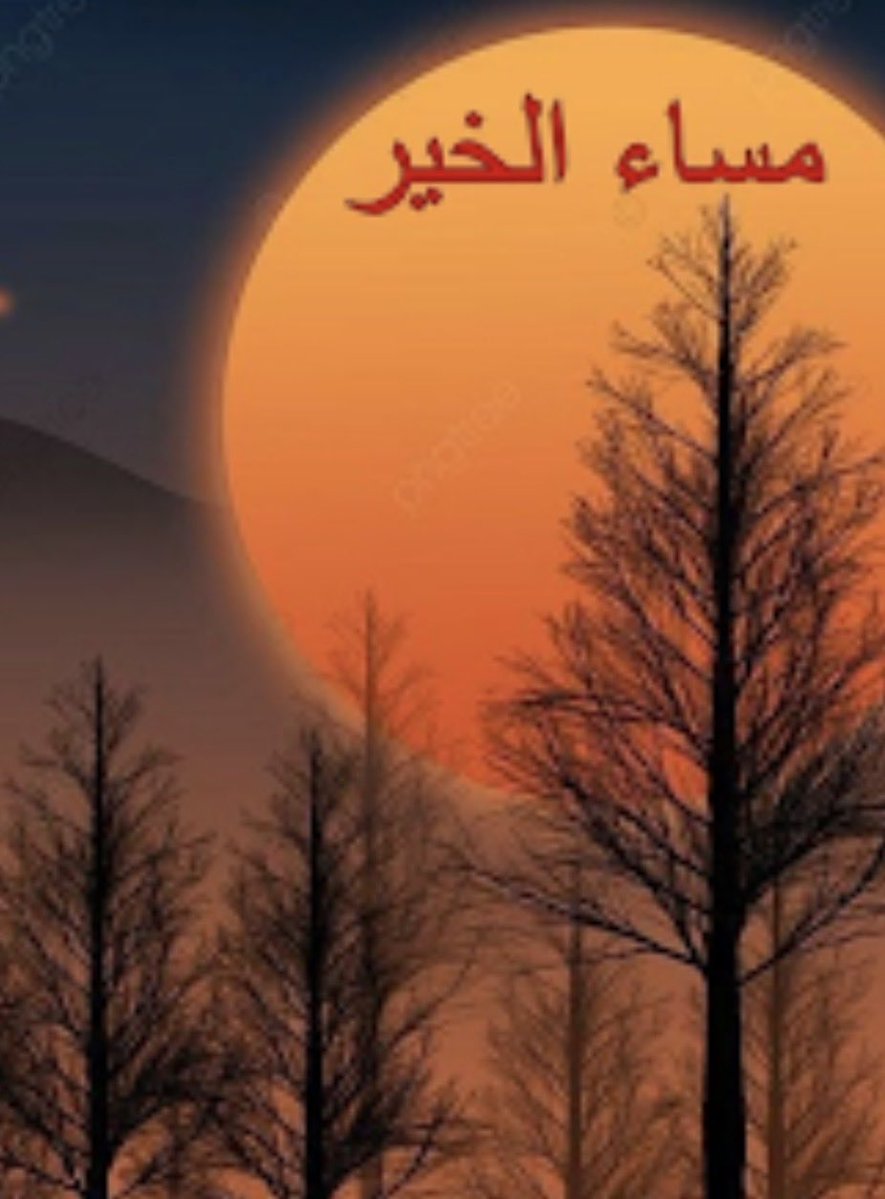 💛شمس النصر 💙 tweet media