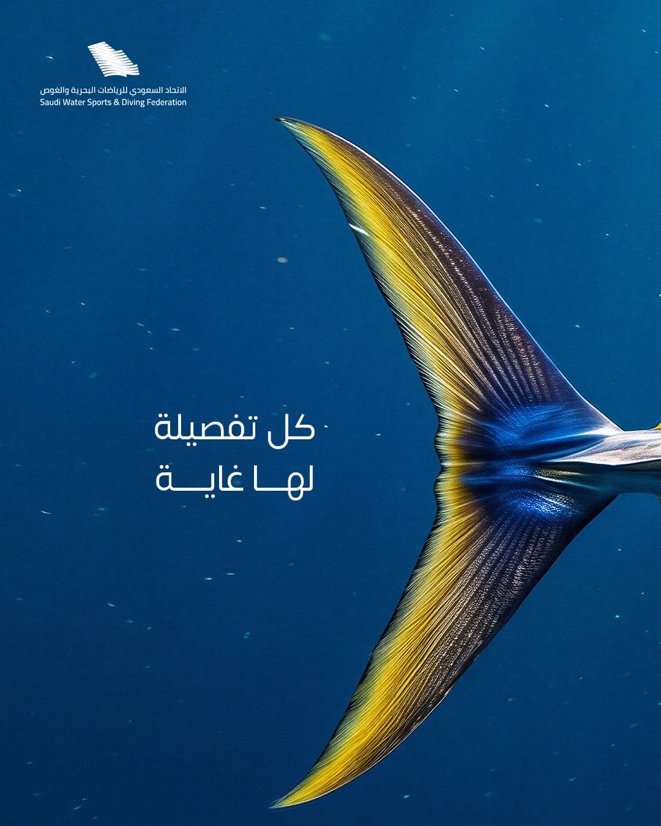 SWSDF | الاتحاد السعودي للرياضات البحرية و الغوص tweet media