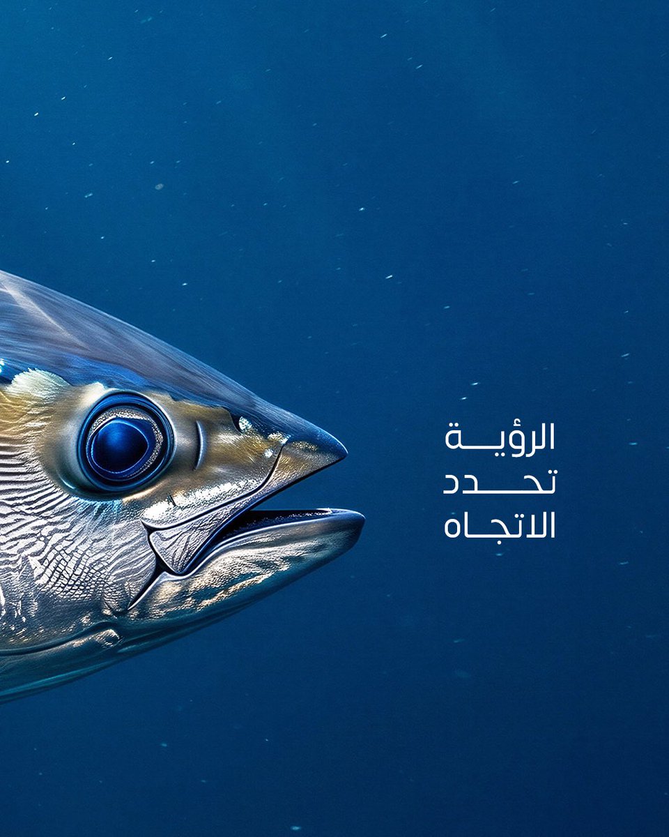 SWSDF | الاتحاد السعودي للرياضات البحرية و الغوص tweet media