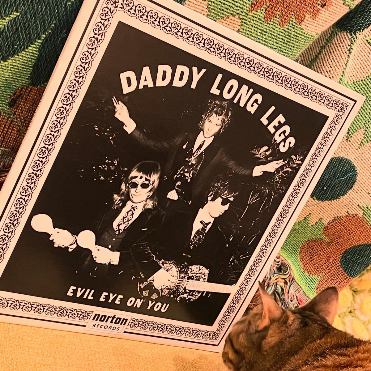 toyozofadeaways's tweet photo. もう来週なんて信じられないのですが。Daddy Long Legs(NYC), 15年越しの初来日！各地の詳細まとめてあります。各地超強力ラインナップでやらせてもらいます。Novさんありがとうございます！みんな来てね！予約はサイトから

https://t.co/1o8ajX7Bto https://t.co/gkmBjBSTI3
