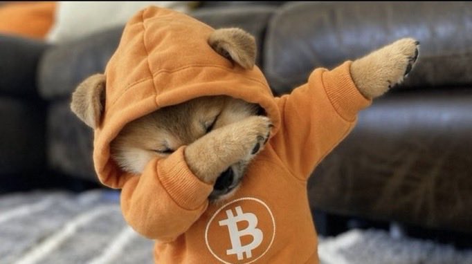 ryder_macd's tweet image. It’s Saturday ! Do a dab for solana:dog1viwbb2vWDpER5FrJ4YFG6gq6XuyFohUe9TXN65u on #Bitcoin