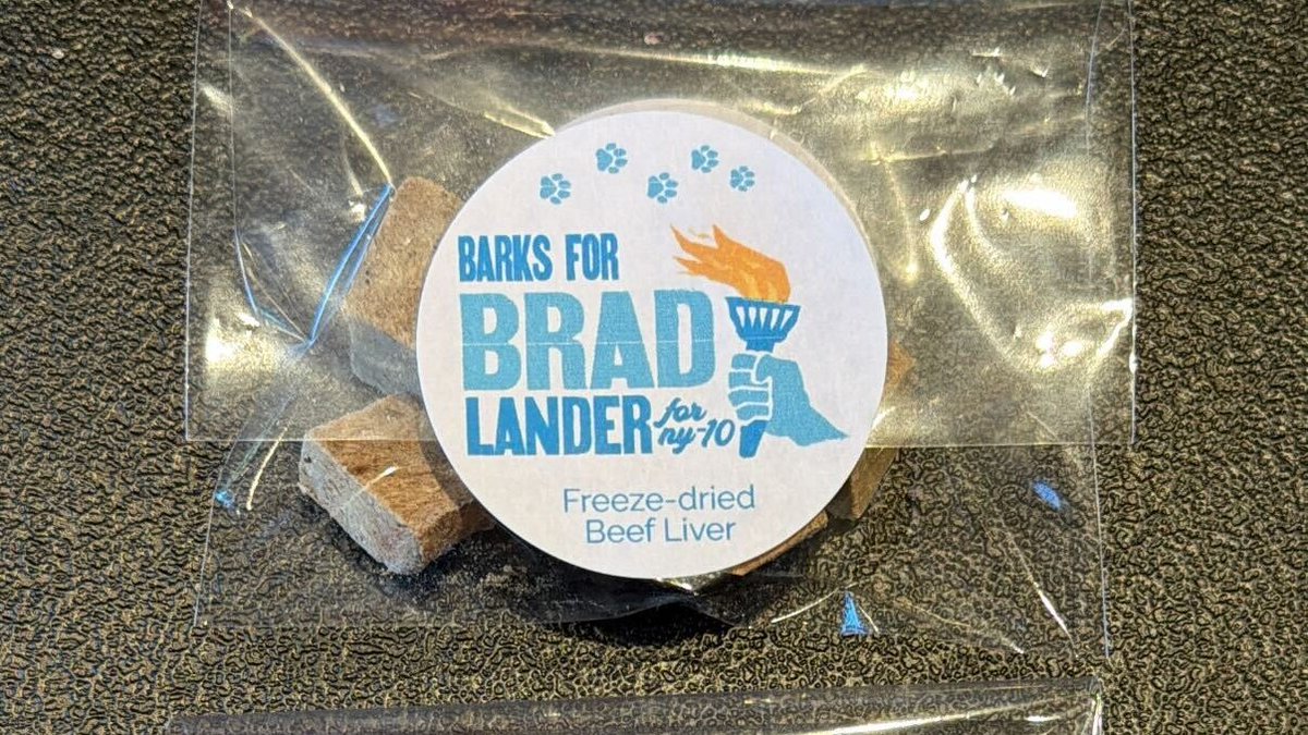 Brad Lander tweet media