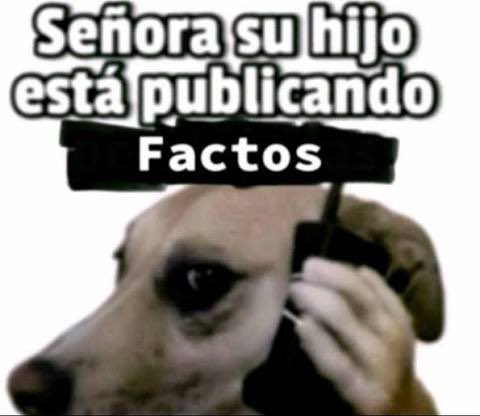 Fabián Fallú tweet media