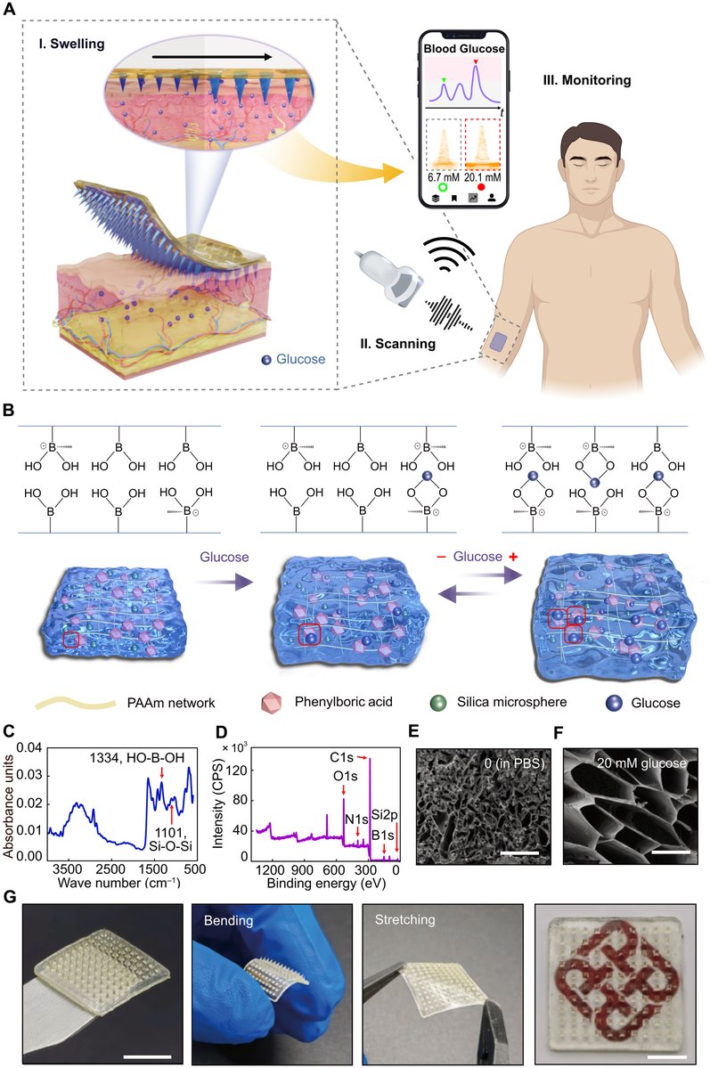 Science Advances tweet media