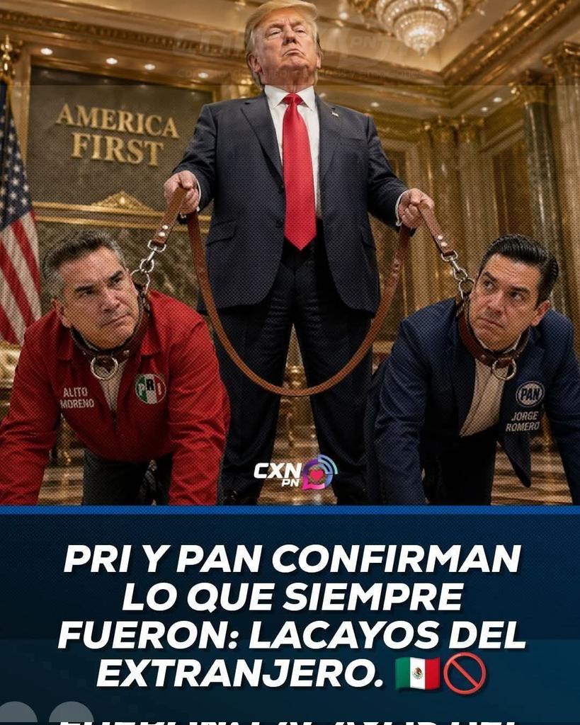 Leo León tweet media