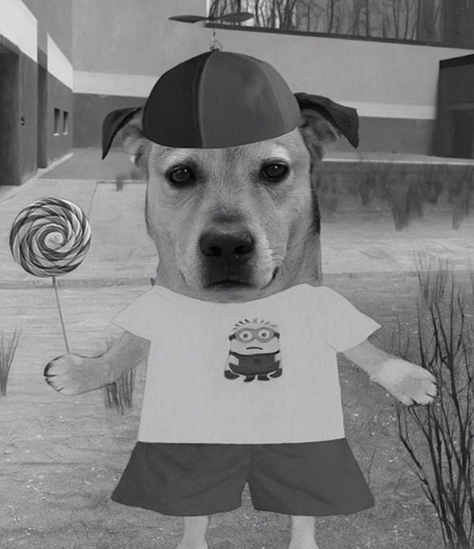 dj flambinho orgastic tweet media