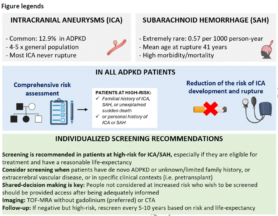 RafaelLpezMrqu2's tweet photo. KDIGO 2025 Clinical Practice Guideline for ADPKD: a commentary on intracranial aneurysms and other vascular manifestations from the ERA Working Group Genes &amp; Kidney 

https://t.co/bhmQ3aoAzm https://t.co/ylk5zsF4Xo