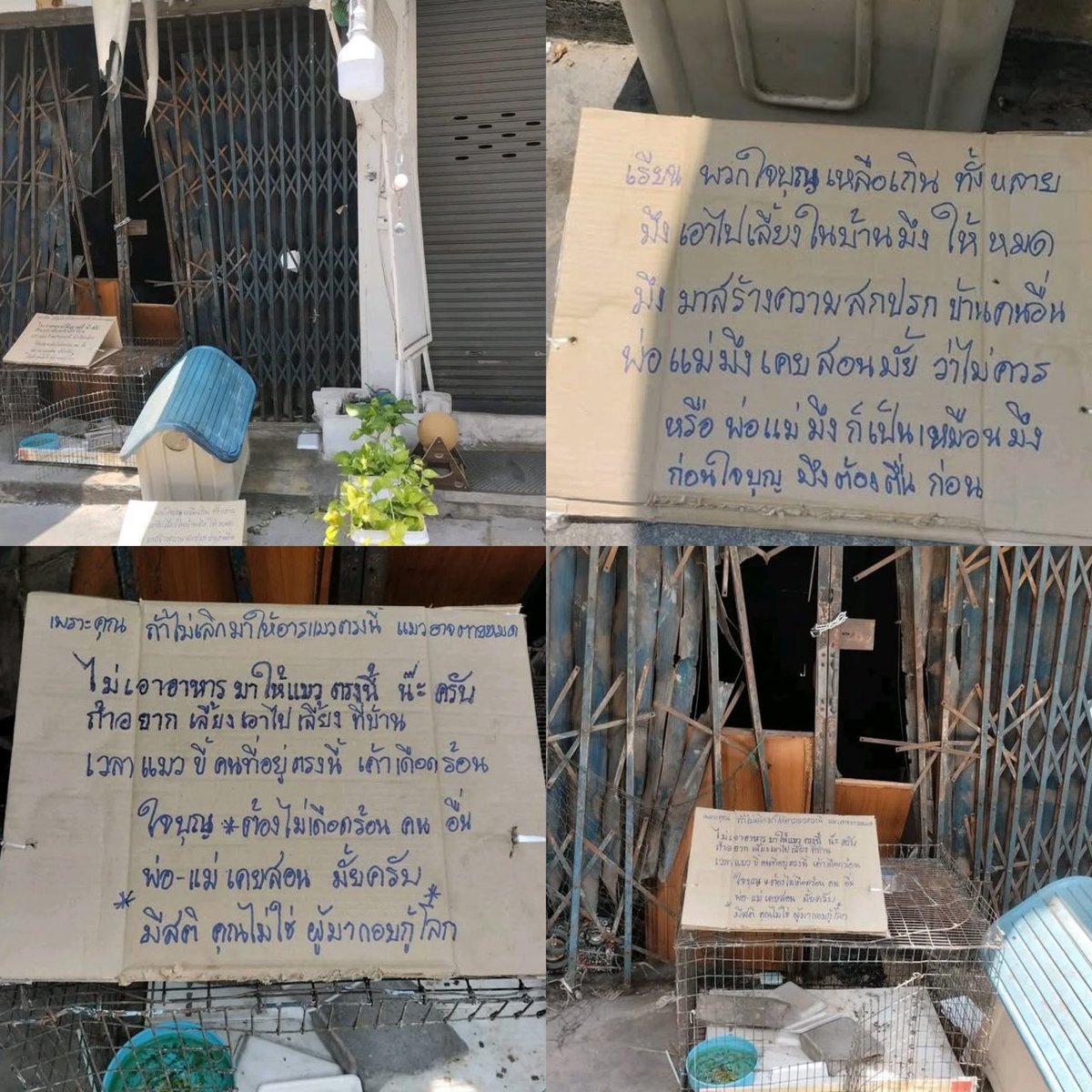 Kawaaii tweet media