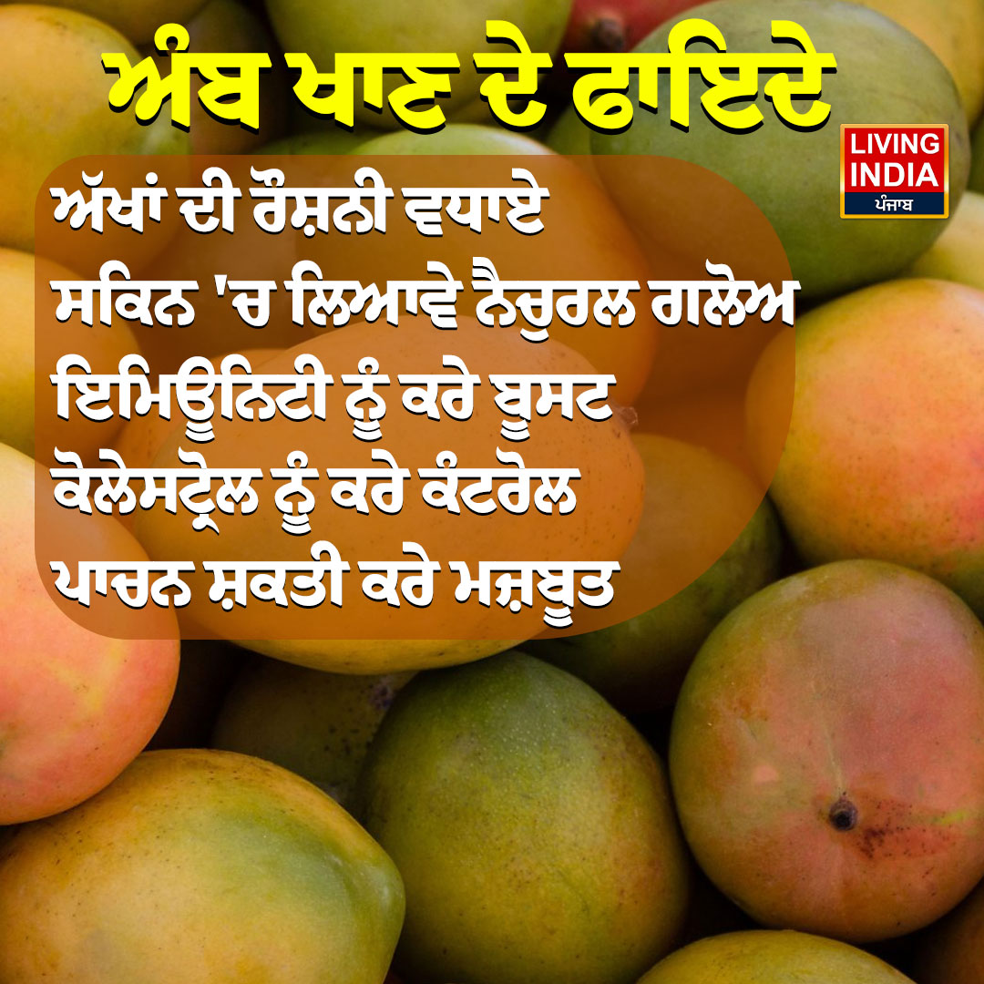 LiPunjab's tweet image. ਅੰਬ ਖਾਣ ਦੇ ਫਾਇਦੇ

#mango #Benefits #comment #HealthTips #SummerSuperfood #LivingIndiaNews