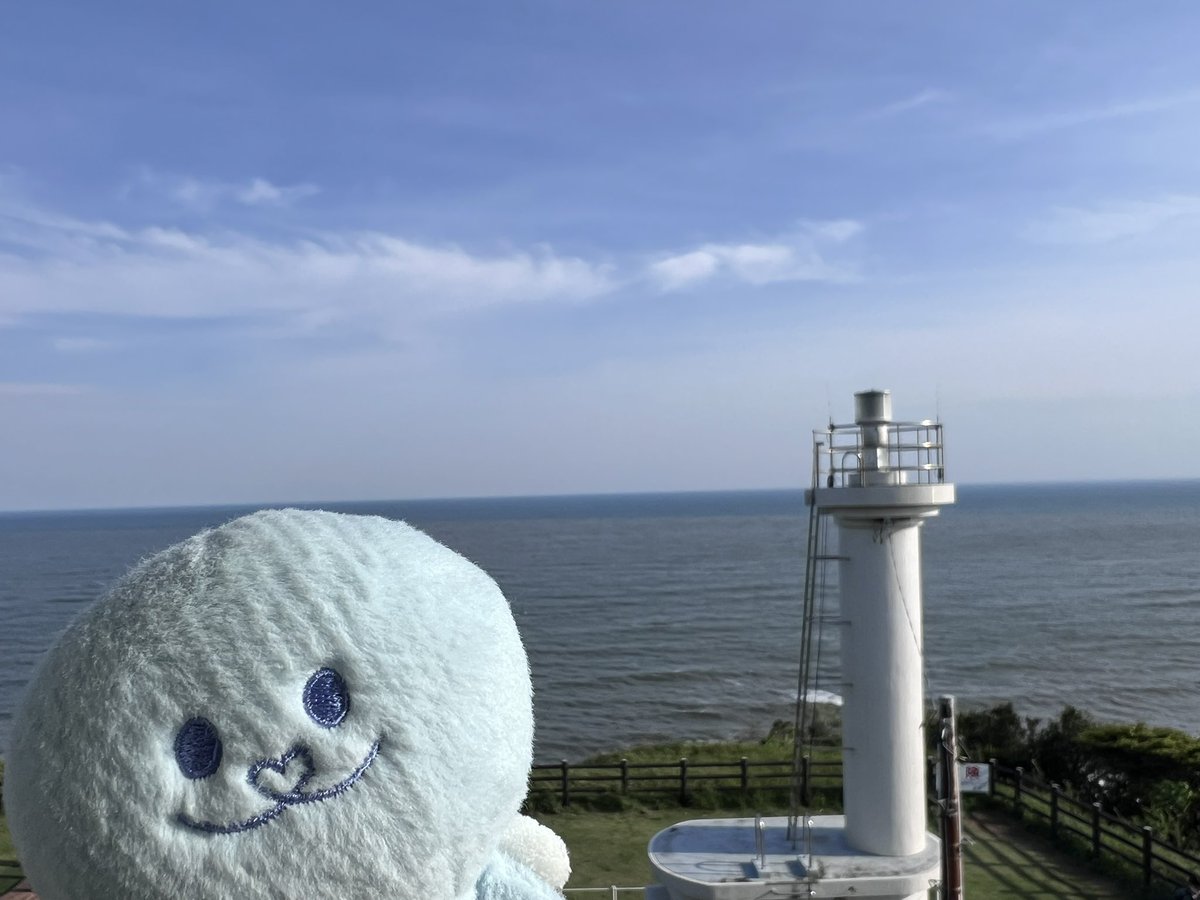 ｶﾝﾁｬﾝ tweet media