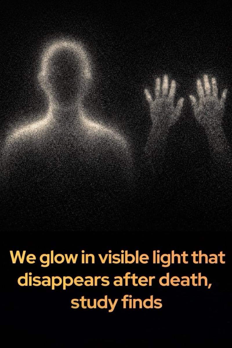 sciencegirl's tweet image. Scientists have discovered that living bodies emit an extremely faint form of visible light so subtle that it cannot be seen with the naked eye. Using highly sensitive imaging technology, researchers from the University of Calgary and Canada’s National Research Council were able
