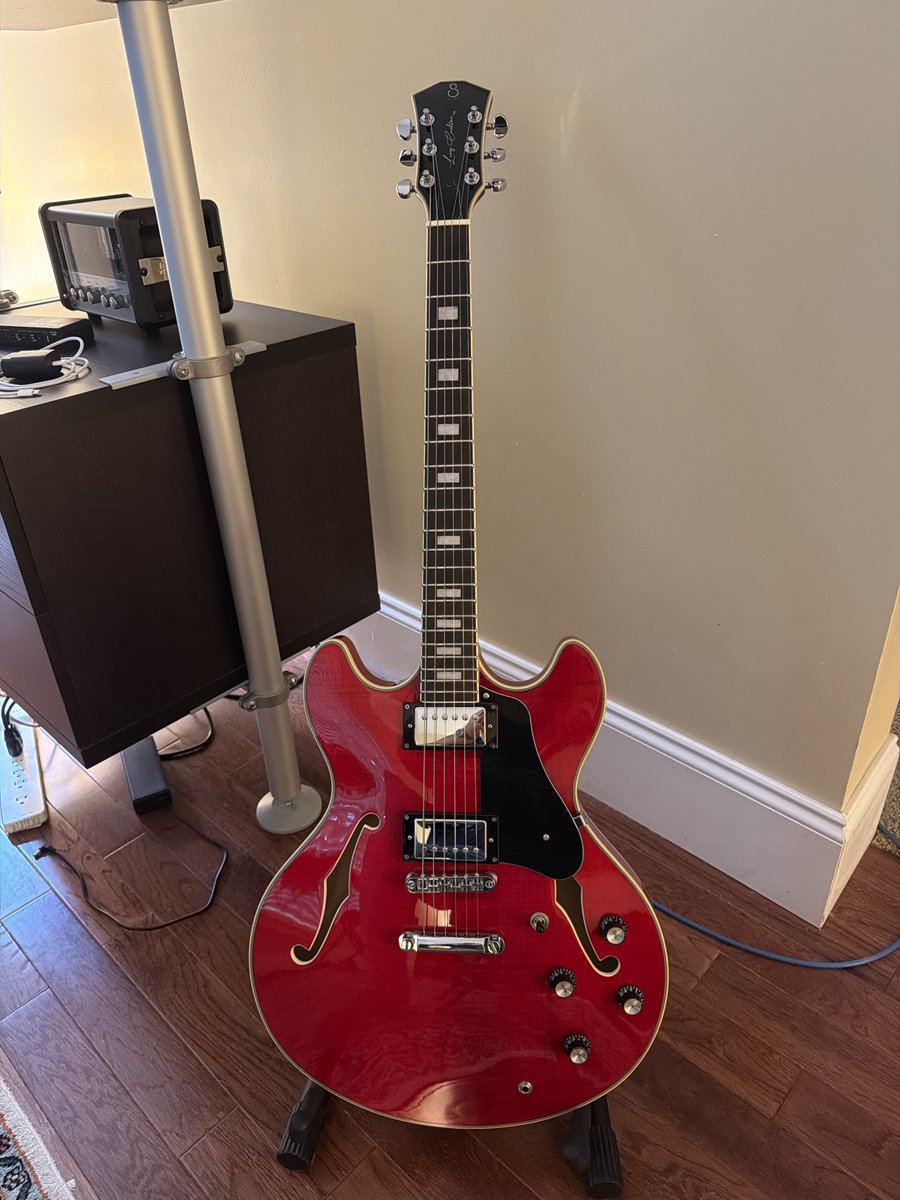 prologue_muzic's tweet image. My New Gear! 😁 @sireusaofficial 

#guitar #ギター #SireGuitars