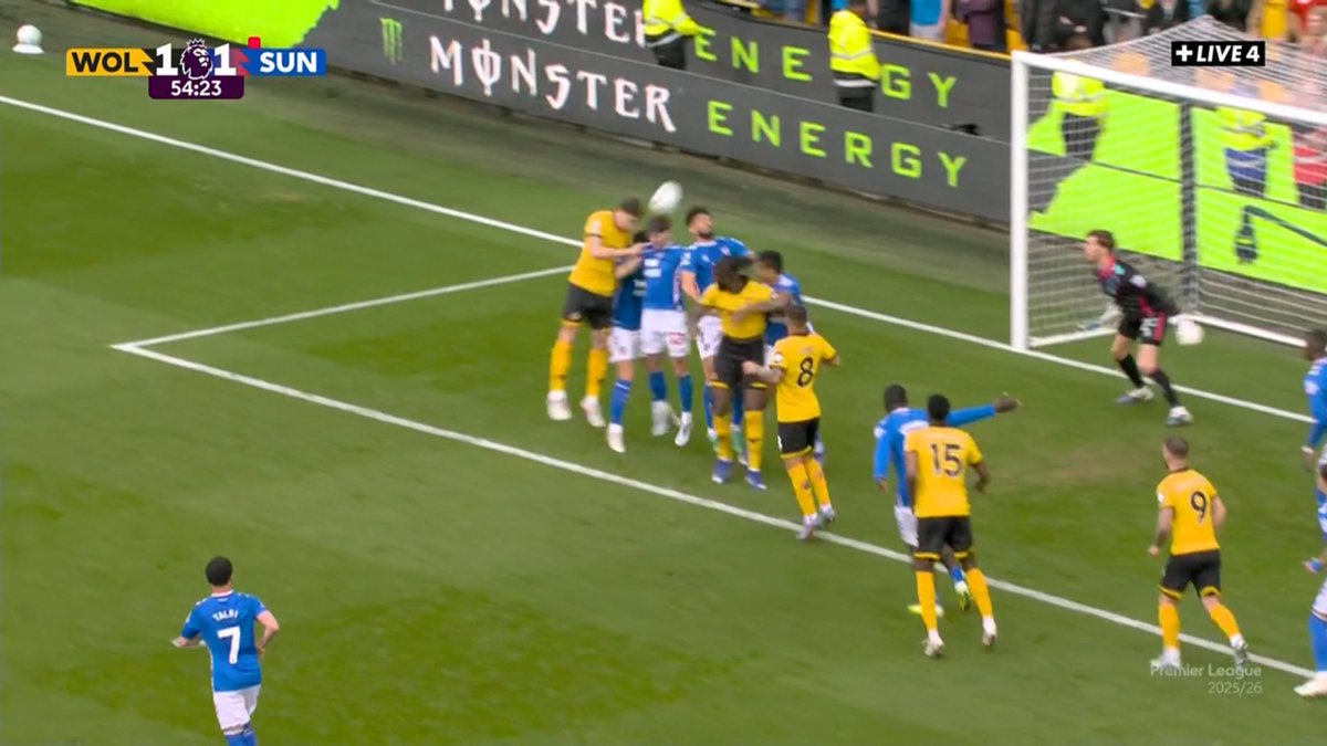 Wolves Actu France 🐺🇫🇷 tweet media