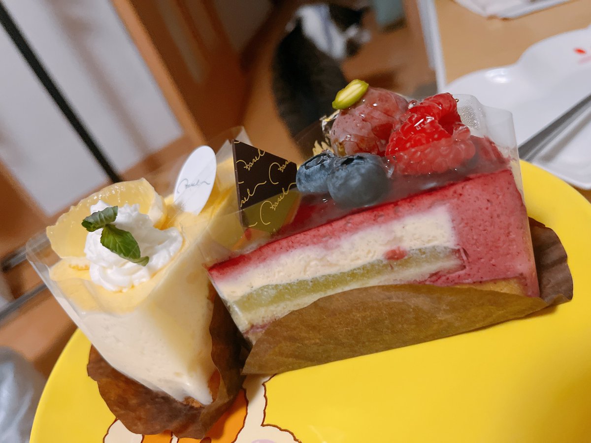 シキ🍓( ᷄ᾥ ᷅ )❂Ultima tweet media