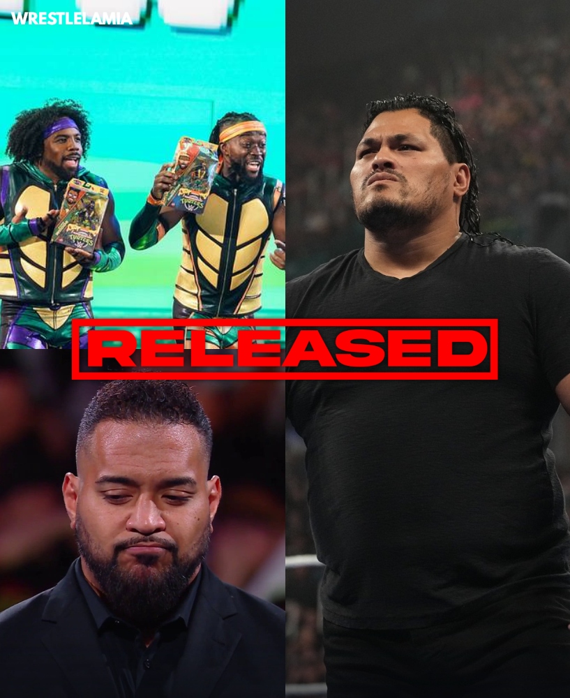 Wrestlelamia.com tweet media