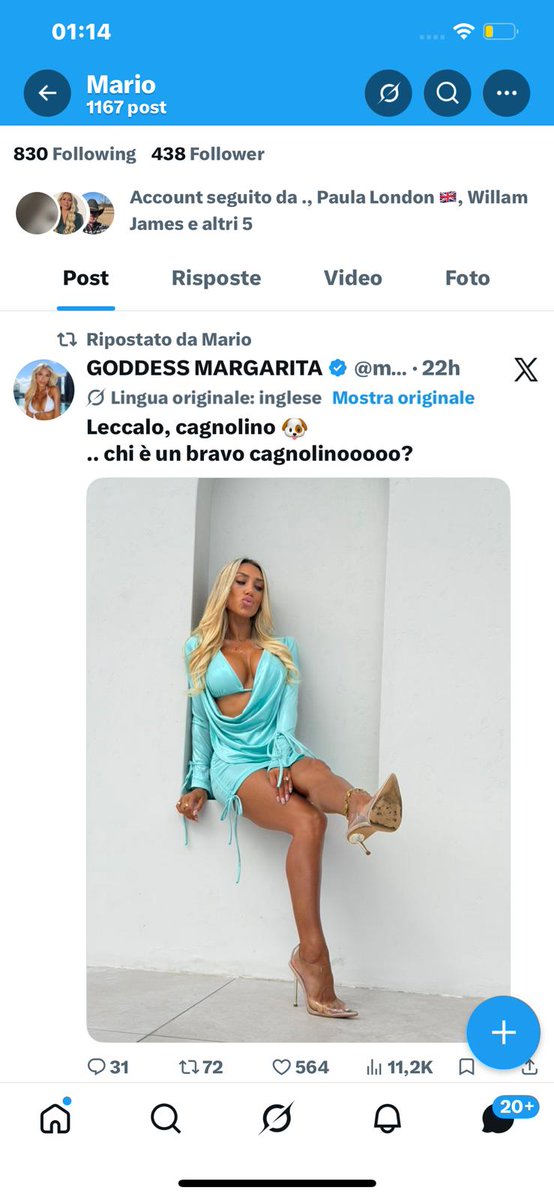 Mario tweet media