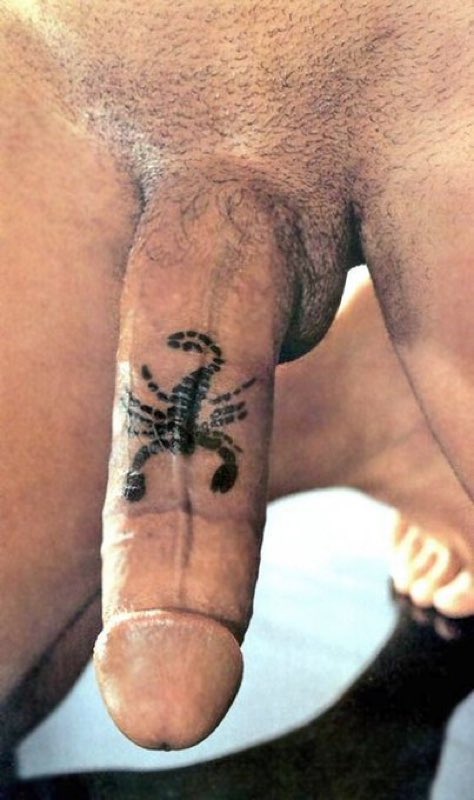 tattoed dicks tweet media