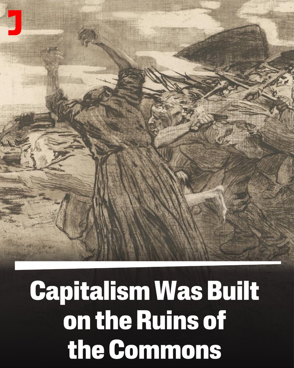 Jacobin tweet media