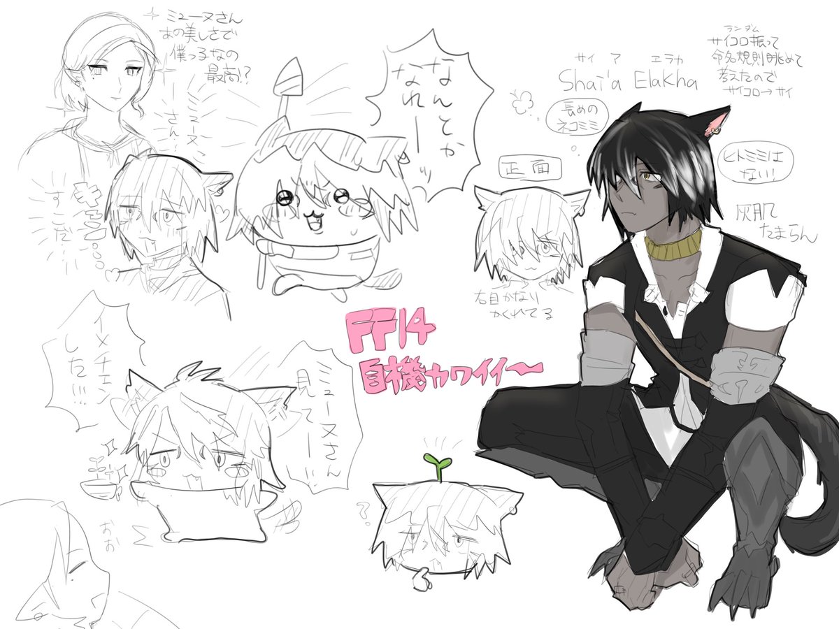 ﾈｺﾁｬﾝ…