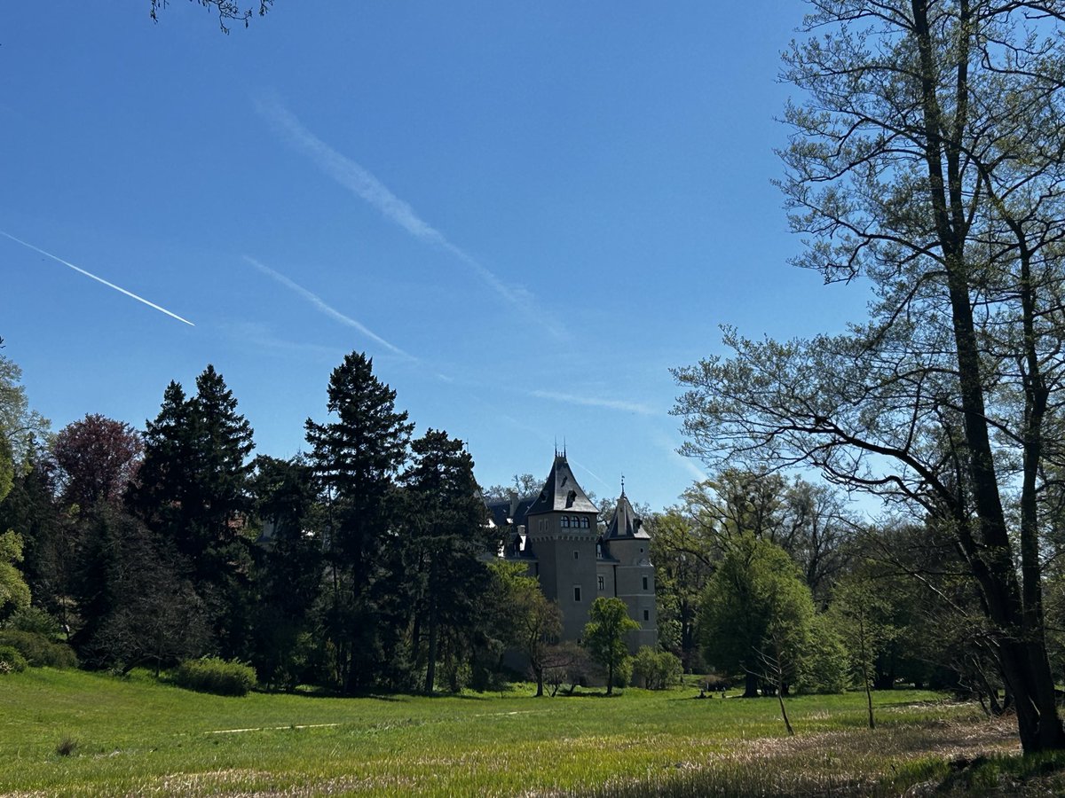 Beautiful day
