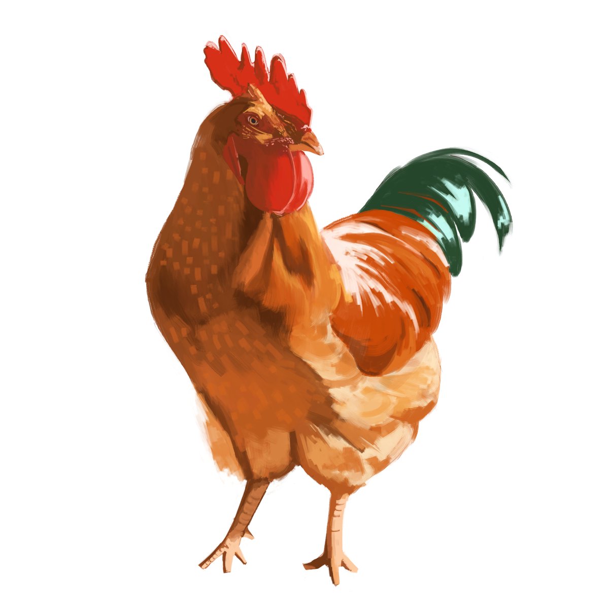 cygdeb's tweet image. eh ayam eh ayam #study