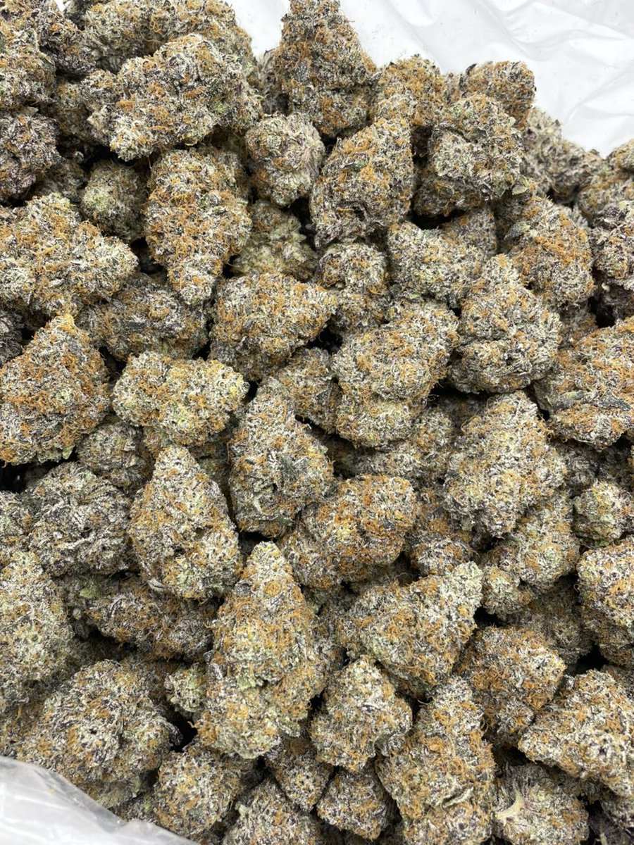 og_smoka's tweet image. Keep the day funky with some Strawberry Snowcone indoors 🍓🍧Colorful clean shaved frost covered buds with a dense &amp;amp; sticky cure! Bomb candy snowcone nose with exotic strawberry terps 💣 #420Community
#420Friendly
#CannabisCommunity
#StonerFam
#Mmemberville