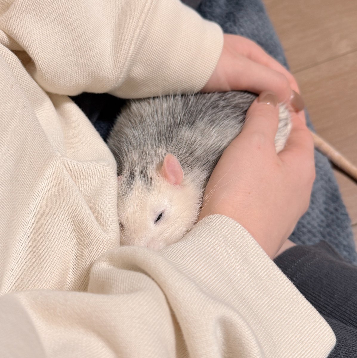 ドブ美 tweet media