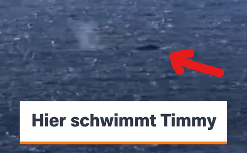 Linda Grünberg tweet media