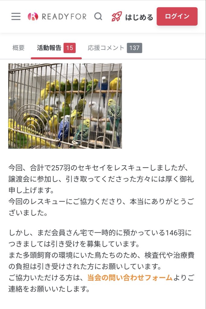 空乃木屋文鳥左衛門/弥富文鳥補完計画 tweet media