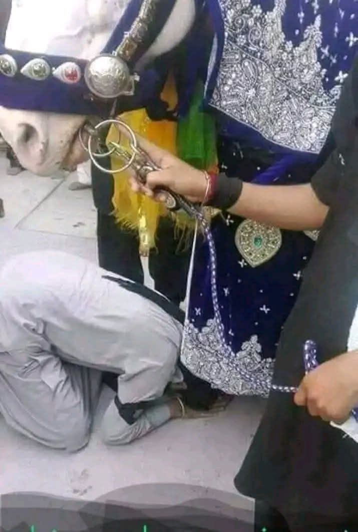 The Muslim warrior tweet media