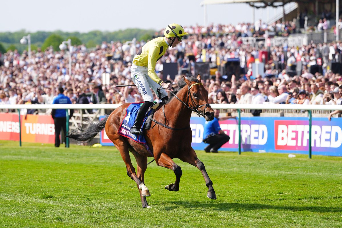 Timeform tweet media