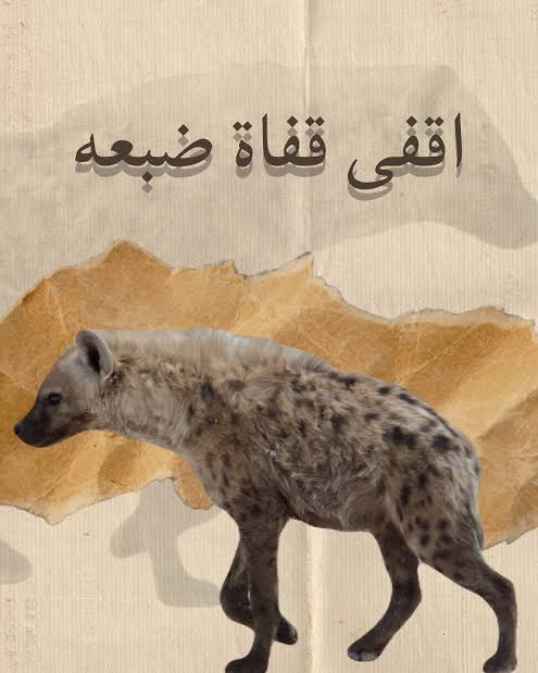 أبو سعيد المذهب tweet media