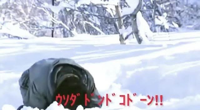 めそポタ⊂( ･ω･ )⊃ tweet media