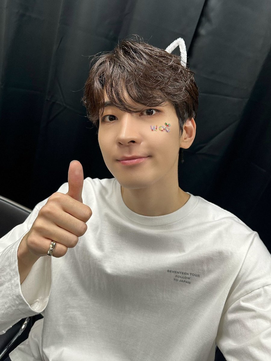 still find this so cute of wonwoo having a cute whimsy sticker of “woo” on his cheek while also wearing a cat ear headband ☹️