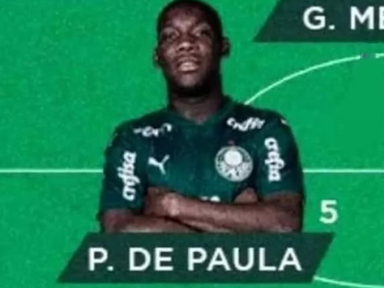 MANUAL DO JOGADOR RUIM tweet media