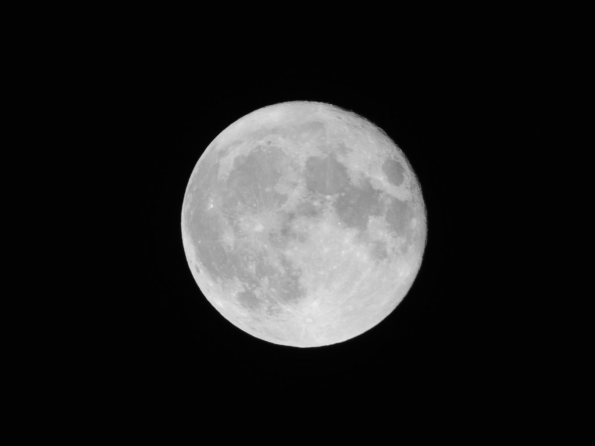 月がキレイだね🌕