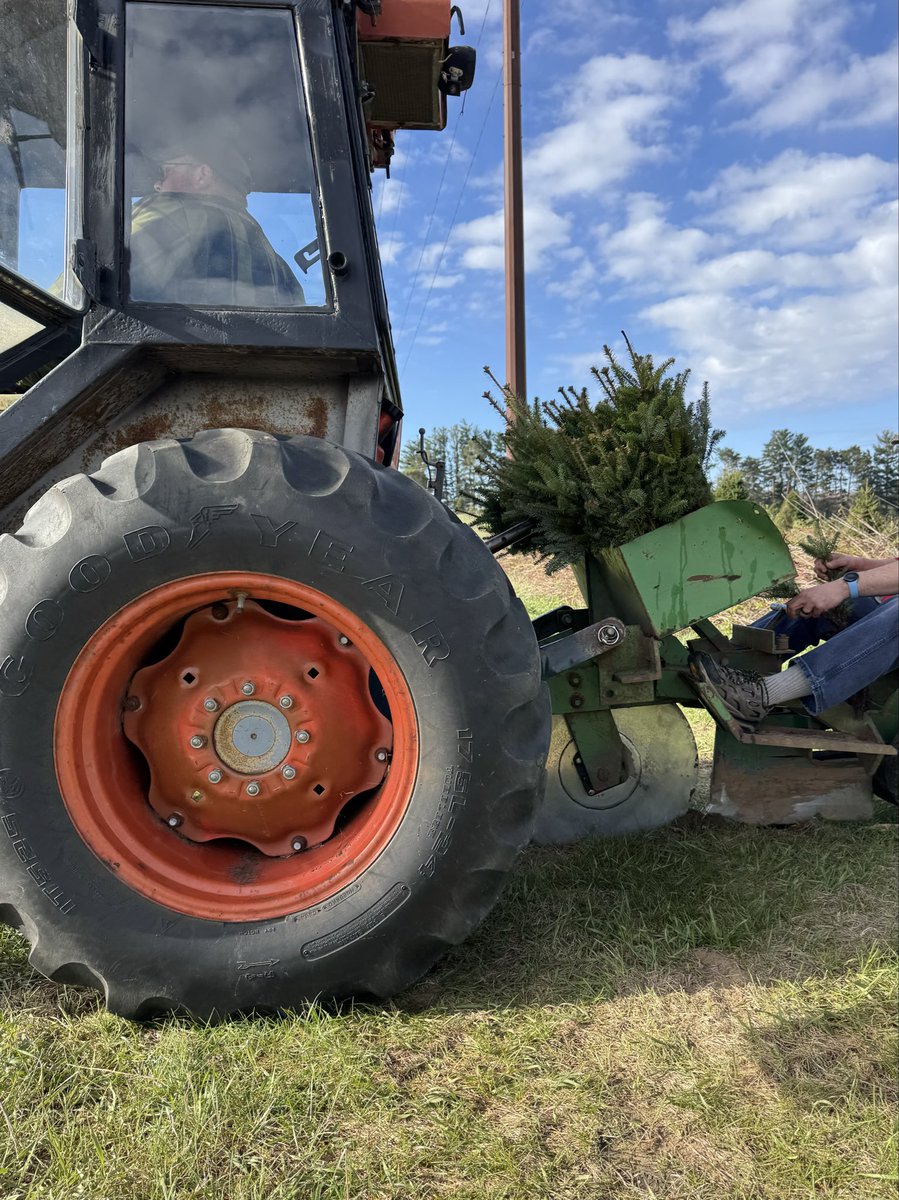 QuartziteRMLLC's tweet photo. #plant26 has started at Schroeders Forevergreens. https://t.co/v8Wckqyh39