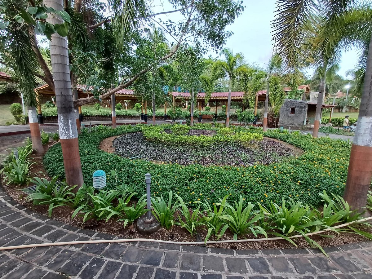 SonamDo16080271's tweet image. Few pictures when working at Mumbai, lived nearby a beautiful vintage locality in Andheri, also a walk a by path from Kozhikode housing. #throwback