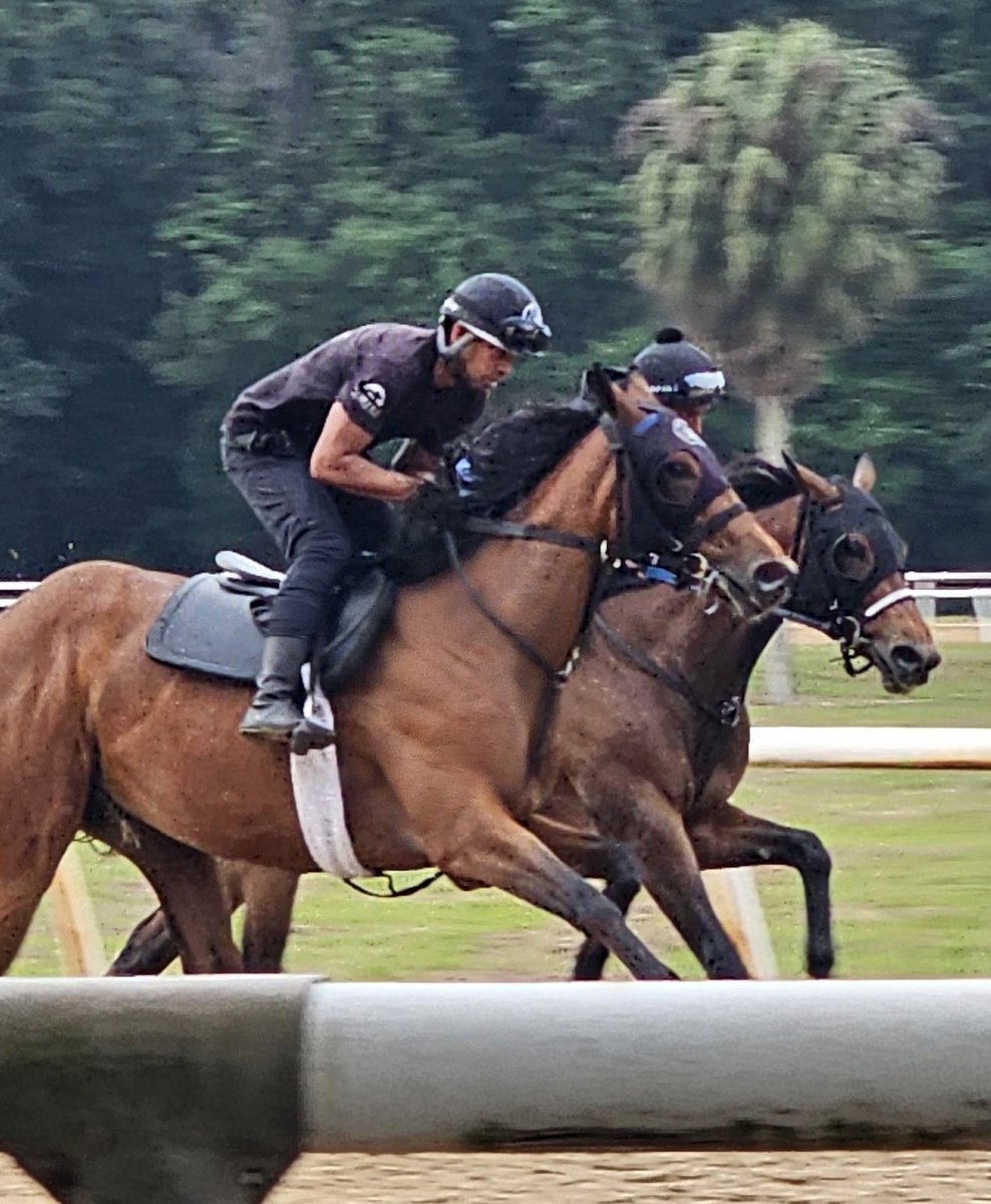 LadererRacingStables tweet media