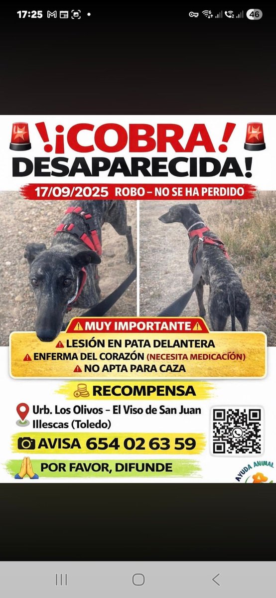 ifoundites's tweet image. 🚨 **Cobra** — Perdido/a 🇪🇸
ifoundit.es/dog/96bf9592-3…

#כלב #חתול #אבוד #פרס_כספי #gato #perro #perdido #recompensa #dog #cat #lost #reward