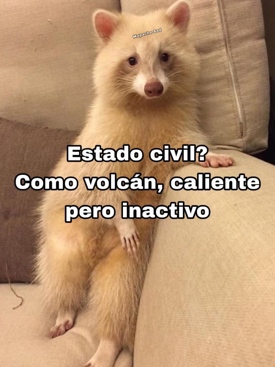 𝕵𝖔𝖓𝖆𝖙𝖍𝖆𝖓 𝕾𝖓𝖔𝖜 𝖂𝖎𝖈𝖐 🃏🐺 tweet media
