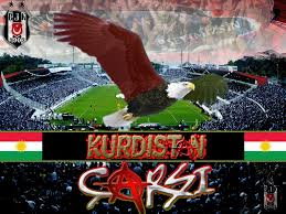 bthnn tweet media
