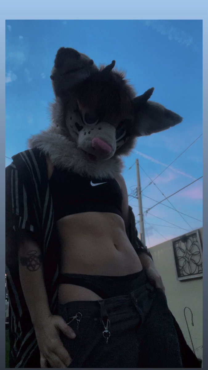 Asterfluffs tweet media