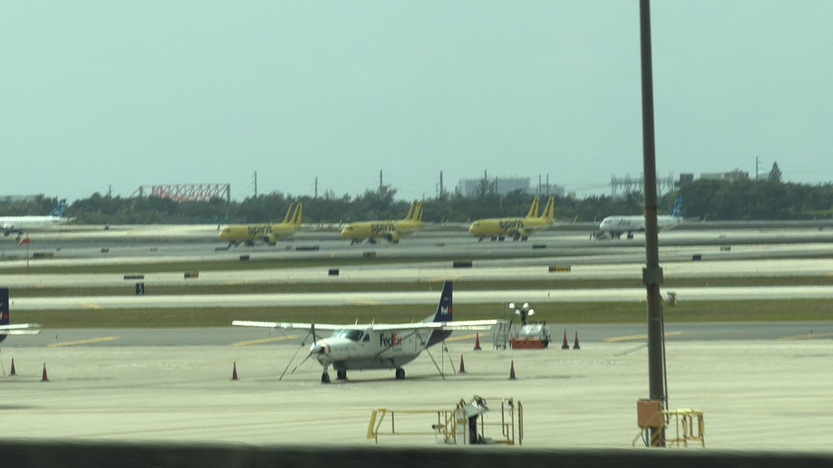 ThemeParkExpres's tweet image. Drove by FLL on our way to Port Everglades and saw quite a few Spirit planes parked up with their futures unknown for the time being 🫡 #Spirit